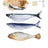Floppy Fish PlayMate - V.I.P Digital Presence