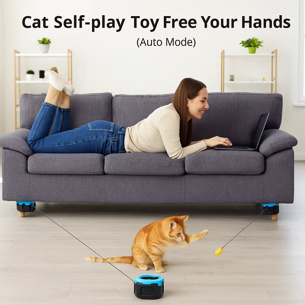 FeatherRun Cat Toy - V.I.P Digital Presence