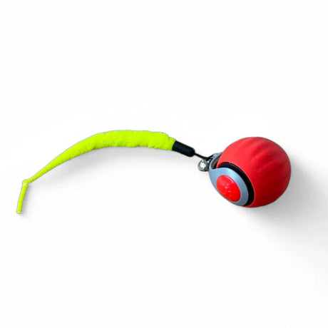 Flap Cat Ball - V.I.P Digital Presence