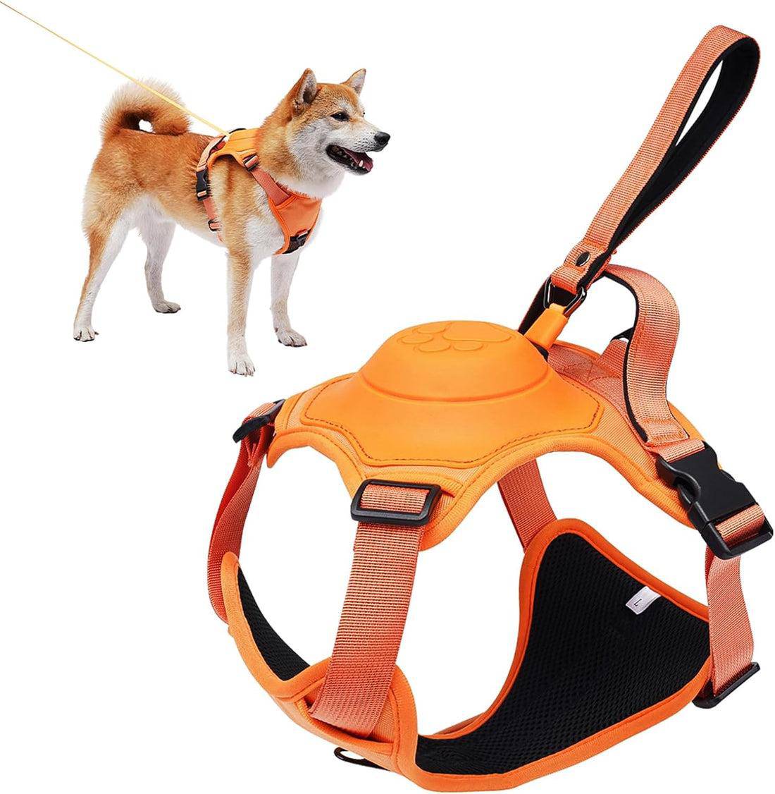 Flexi dog harness hotsell