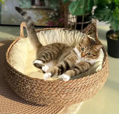 Handmade Pet House - V.I.P Digital Presence