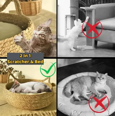Handmade Pet House - V.I.P Digital Presence