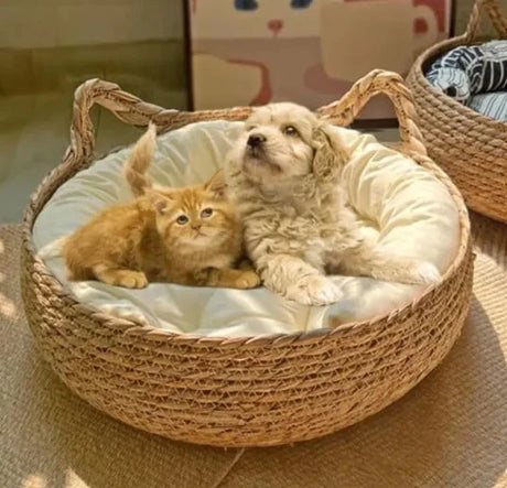 Handmade Pet House - V.I.P Digital Presence
