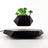 V.I.P DIGITAL PRESENCE Black Color / Full Size LevitaSphere Plant Pot