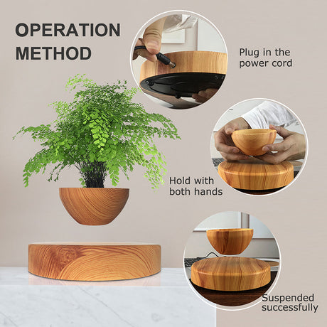 LevitaSphere Wood Grain - V.I.P Digital Presence