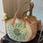 Paper rope hollow out colorful round plate grass woven bag casual beach bag one shoulder fashionable woven bag - V.I.P Digital Presence