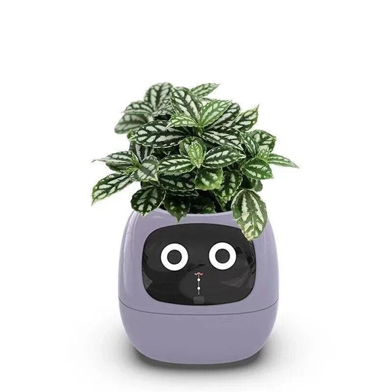 V.I.P DIGITAL PRESENCE Heather Purple PlantPal Ivy