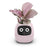 V.I.P DIGITAL PRESENCE Light Pink PlantPal Ivy