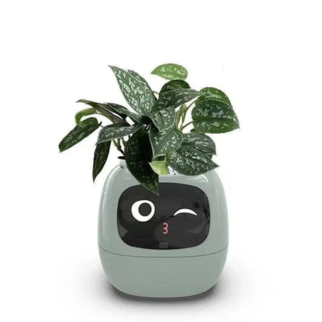 V.I.P DIGITAL PRESENCE Mint green PlantPal Ivy