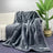 Protection Blanket - V.I.P Digital Presence