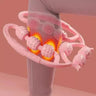 Skin Tightening Roller - V.I.P Digital Presence