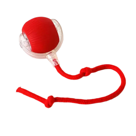 Smart Chase Ball - V.I.P Digital Presence