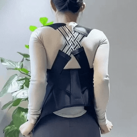 SpineAlign Pro - V.I.P Digital Presence