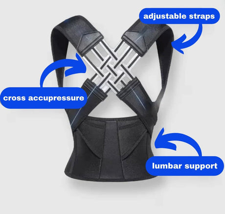 SpineAlign Pro - V.I.P Digital Presence
