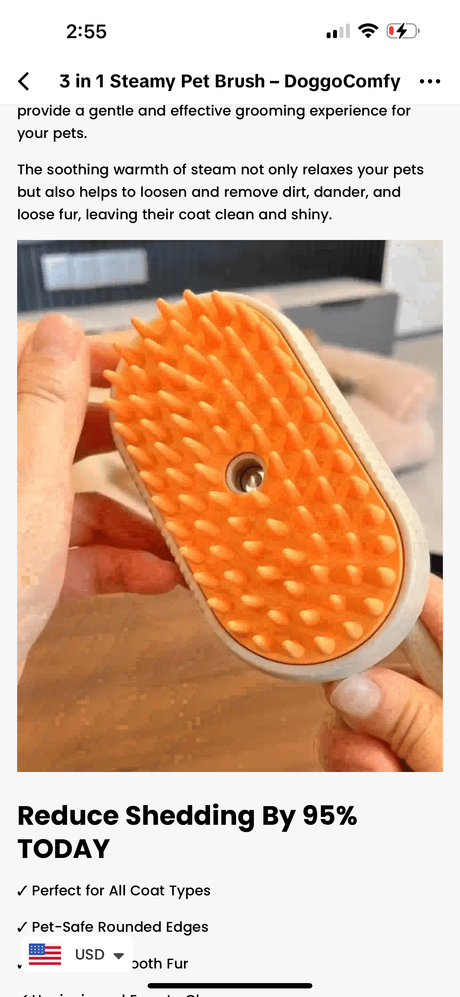 Steamy Hair Brush - V.I.P Digital Presence