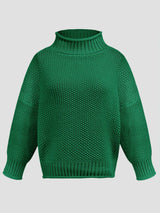 Turtleneck Long Sleeve Sweater - V.I.P Digital Presence