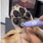 Pet Paw Moistening - V.I.P Digital Presence